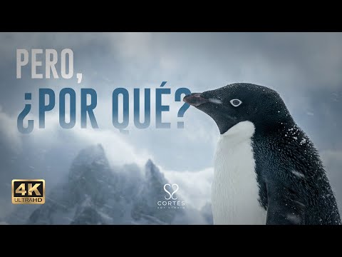 Versión Completa. La Filosofía nos hace críticos, creativos y cuidadosos. <a href=