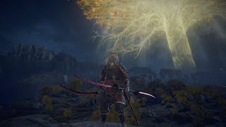 [録画声なし]　ELDEN RING -20-