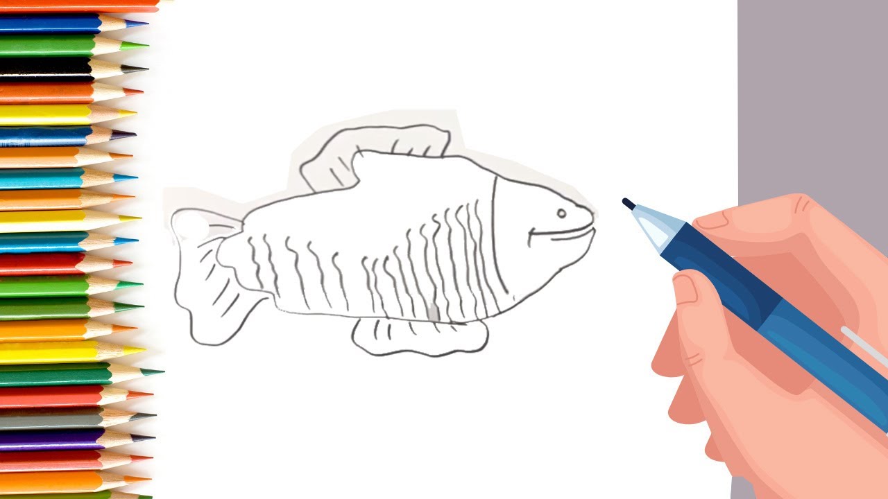 How to draw folding pokemon surprise