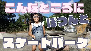 こんなところにぽつんとスケートパーク