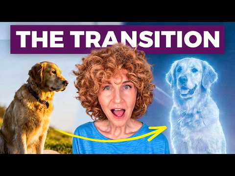 What Happens to the Soul When a Pet Dies?