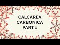 Calcium Deficiency Constipation Teething Baby Homeopathic Remedy For Slow Obese Lady Calcarea E