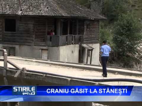 CRANIU GASIT LA STANESTI