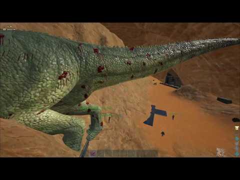 MTS Beginners | Ep2 | They went to bed feeling like alphas