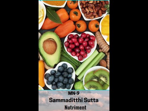 MN- 9 : Sammaditthi Sutta Part 2- Nutriment