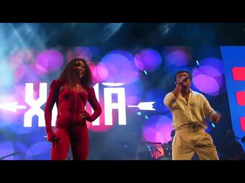 xamã & majur @ praia de copacabana: gato siamês