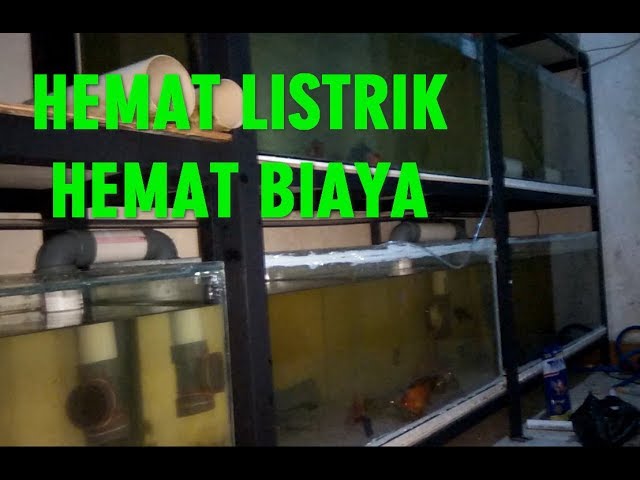 Cara Sirkulasi Air Banyak Aquarium Hanya Pakai 1 Pompa Air