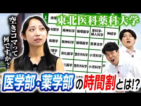 【東北医科薬科大学】医学部・薬学部はどんな時間割❓夢に向かって勉強する学生にインタビュー‼️【土佐兄弟の大学ドコイク】