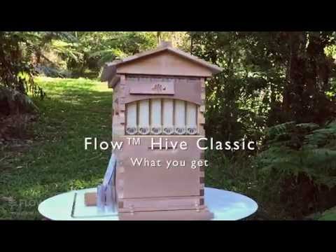 The Flow™ Hive Classic - What is included