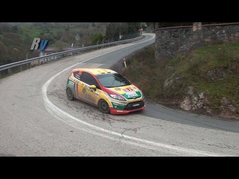 2015 Rally 34 / Buğra Banaz - Burak Erdener / Ford Fiesta R2