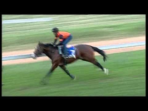 Vodacom Durban July 2013 Tribal Dance Gallop