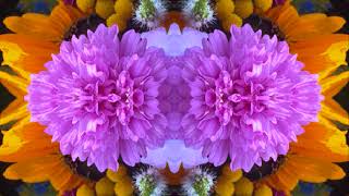 Del Gato (by Gene Clark live in Liberty, NY 10/8/1988)