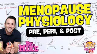 Menopause Physiology | Pre, Peri, and Post-Menopause