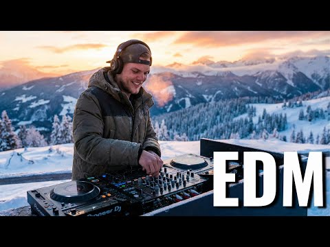 【Avicii Style】Avicii Inspired Winter Journey Playlist ～10 Songs, One Epic Story～
