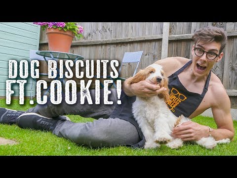 download lagu mp3 mp4 Dog Cookie Baker, download lagu Dog Cookie Baker gratis, unduh video klip Dog Cookie Baker