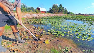 Sealing our Pond Dam with Bentonite Clay and Getting Rid of Lily Pads