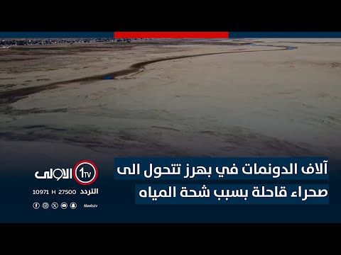فيديو | ديالى.. آلاف الدونمات في بهرز تتحول الى صحراء قاحلة بسبب شحة المياه