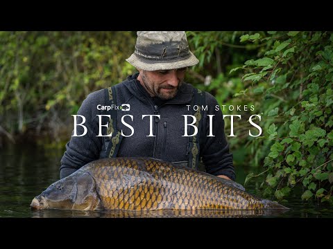 The ultimate Tom Stokes BIG CARP compilation