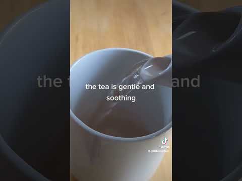 making birch tea from paper birch.