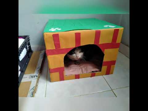 ''EvPati'' ve ''PatiKondu'' Projesi 1