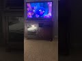 Closing To Kids Favorite Songs 2001 DVD