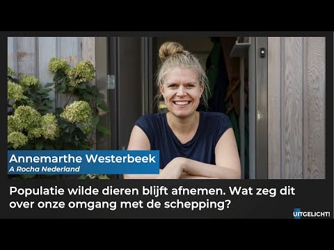 Uitgelicht! 13 oktober 2022 - Annemarthe Westerbeek over dalende populatie wilde dieren