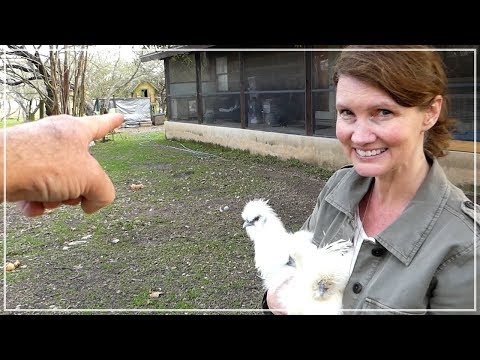 She Doesn't Want You To See THAT - Building Chicken Coop from Dog Kennel