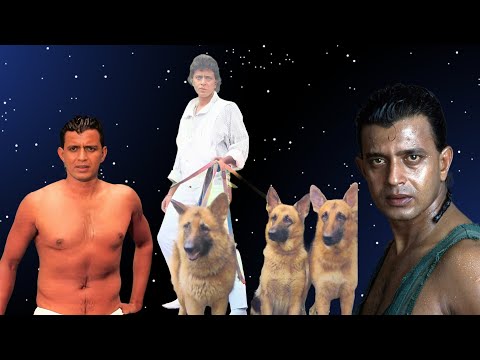 "Mithun Chakraborty 100 Crore Net Worth, 100 Dogs & Luxury Hotels | Disco Dancer Facts"