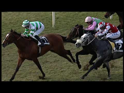 2019-02-10 Corsa 1 Metri 1600 Premio Arturo e Giacomo Maggi