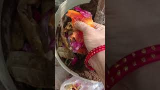 Download lagu செலவில்லா  வீட்டு தோட்டம் 👌❤️#ytshorts #gardening #shortsfeed #shortsviral #shorts #trending #yttips mp3