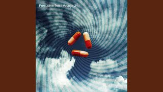 Phase IV (A New Civilization)