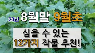 8월말 9월 초에 심을 수 있는 12가지 작물 추천! #주말농장 #도시 텃밭 가꾸기.