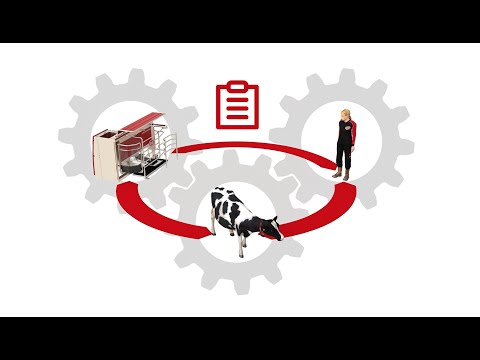 Dairy XL - The heartbeat of a modern dairy farm - EN