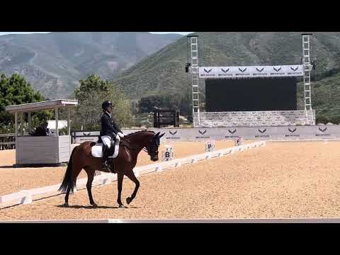 FEI Junior Team Test CDI Galway