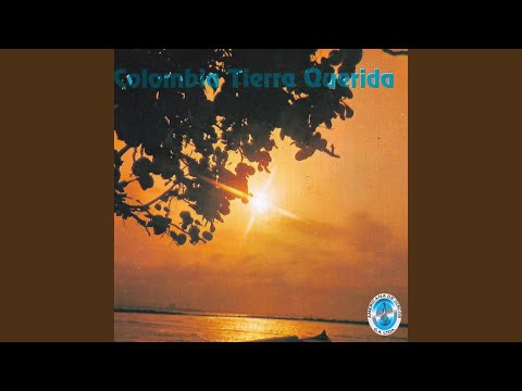 El Colectivo de las 7