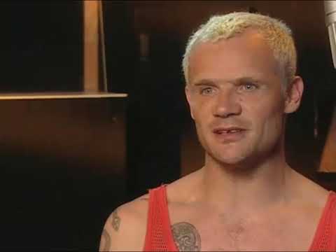 (MOST WATCHED VIDEO) Flea doing Donnie’s voice for the Wild Thornberrys Movie