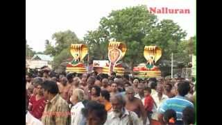 preview picture of video 'Nallur Kandaswamy Temple festival 2012 day 14 pm'