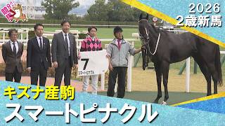 【石橋守厩舎×武豊騎手】「ちょっと楽しみですよ、この馬は」スマートピナクルが文句なしのデビュー勝ち！2026年10月24日(土)２歳新馬　京都芝1600m　 実況：川島壮雄【カンテレ公式】