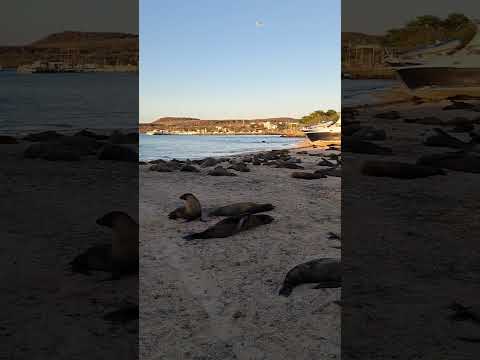 Isla San Cristobal, Galapagos