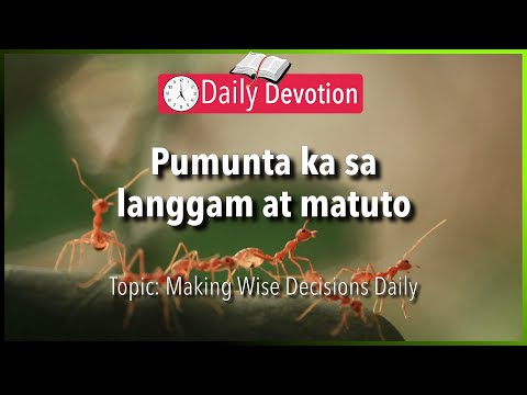 October 03: Proverbs 6:6-8 - Learn From The Ants - 365 Bible Verses Everyone Should Know