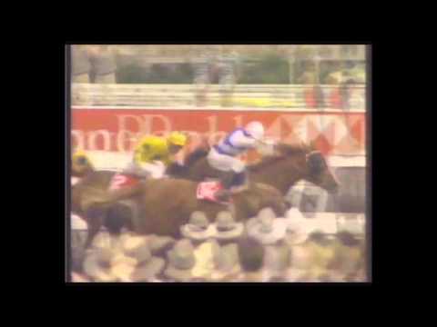VRC Victoria Derby colour 1992