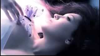 "O AMOR EM PAZ "      GAL COSTA