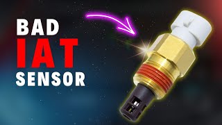 Bad Intake Air Temperature Sensor: Symptoms & Causes
