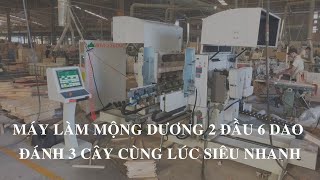 Máy đánh mộng dương 2 đầu 6 dao WM-226 | Làm mộng dương 3 cây 1 lúc siêu nhanh