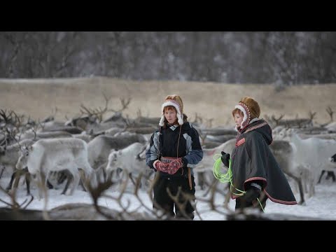 REINDEER GIRLS