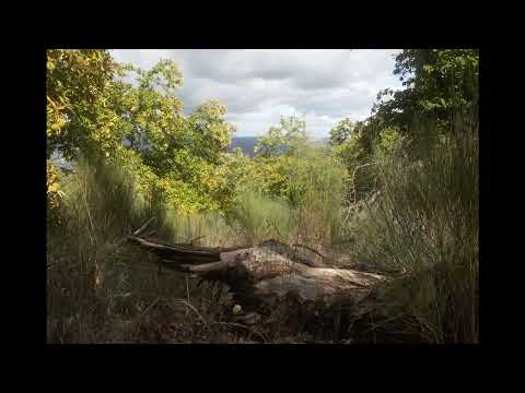 Slow Blues - James Cotton - 432 hz