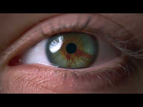 praam - að muna [Official Music Video]