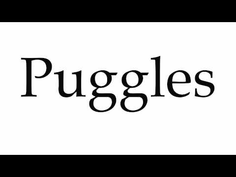 How to Pronounce Puggles