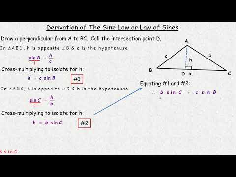 Derivation of The Sine Law
