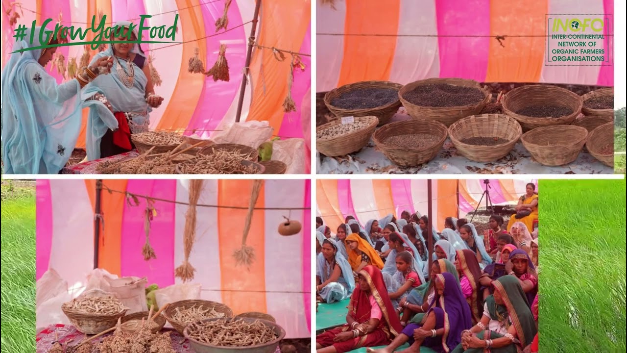 Meet Subhadra Khaperde, organic farmer from India 🇮🇳